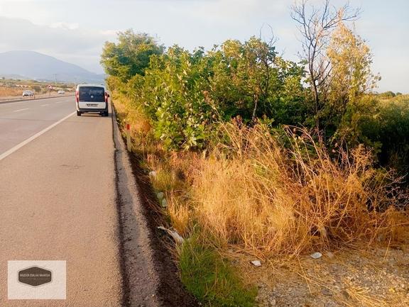 Manisa Turgutlu Yoluna 30 Metre Cepheli Yatırımlık Zeytinlik 2