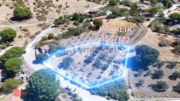 Dikili'de Fırsat Fiyatıyla Yatırım Ve Yaşam Fırsatı Zeyt 2