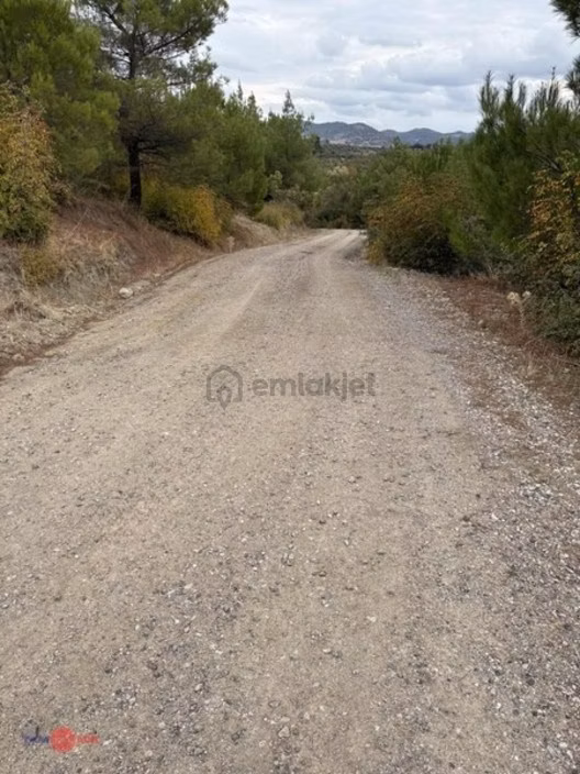 Bergama Kırcalarda Satılık Tarla 1
