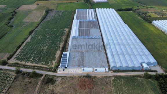 Ilıca Yeniköy'de 26 Dönüm Yatırımlık Tarla-peşin Kira Avantajlı 2
