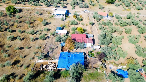 Erzden Kemalpaşa Aşağıkızılcada 430 M² Tek Tapulu Evli Bahçe 1