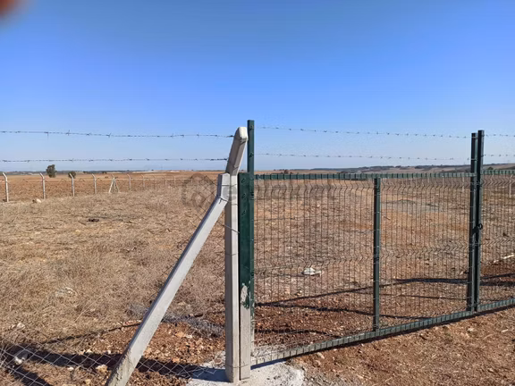 Cihadiye Köyünde 4.210 M2 Tek Tapu Telle Çevrili Tarla 2