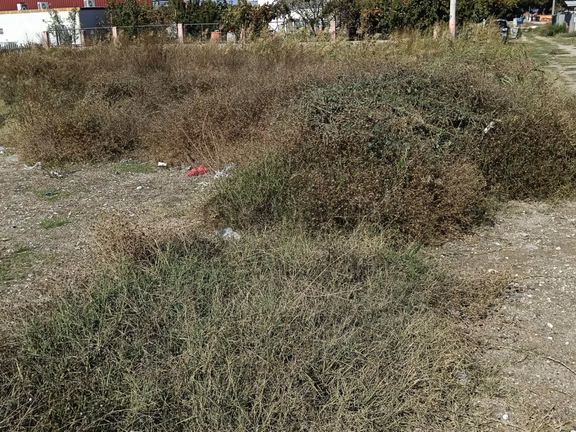 Salihli Berkay Emlaktan Eldelek Mahallesi Satılık 618 M2 Arsa 2