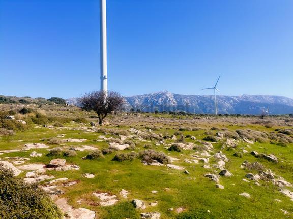 Karaburun Yaylada Yatırımlık Tarla | Doğanın İçinde 2