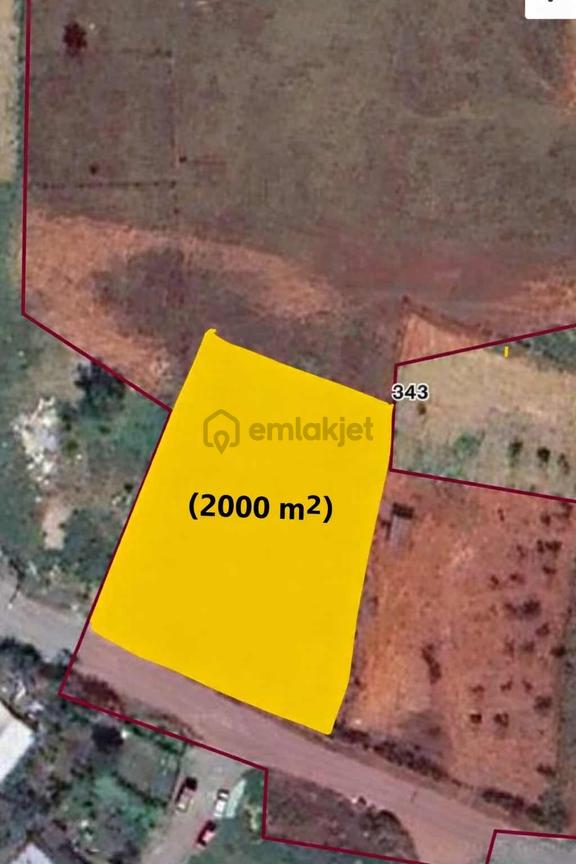 Satılık 2000 M2 Çevrili Meyve Bahçesi İmar Planında
