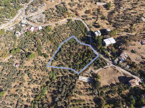 Doğançay'da İmara Yakın 2122 M2 Ağaçlı Tarla 2
