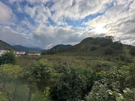 Ordu Hekimoğlu'ndan Gülyalı Turnasuyunda Satılık Arsa 1