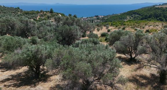 Karaburun'da Deniz Manzaralı,deniz Ve Köye Yakın Arazi 1