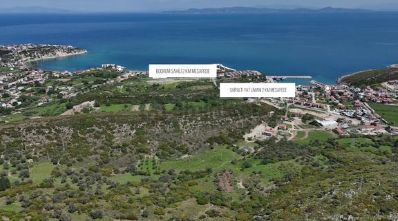 Saip'te Deniz Manzaralı 4876 M2 Resmi Yolu Açık Arazi 1