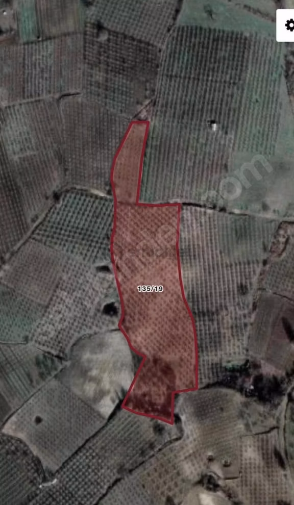 İnegöl’e 5 Km, 700 Ağaçlı Kısa Süreliğine Kupon Elma Bahçesi 1