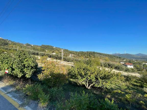 Sakarya Geyve Köprübaşı'nda Satılık 2.479 M² Köy İçi Arsa 1