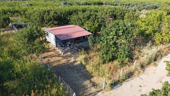 Kemalpaşa Ören'de Satılık Bahçe 1