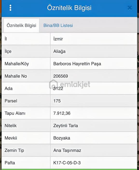 Helvacı'da Satılık 7.912m2 Zeytinlik 2
