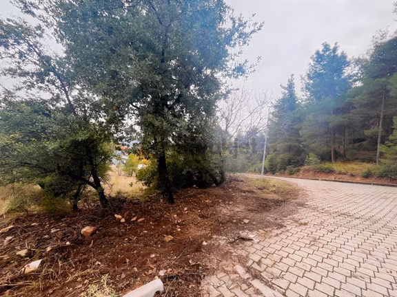 Bağbaşı Yolu Üzerinde Sosyal Tesis İmarlı Satılık Arsa 2