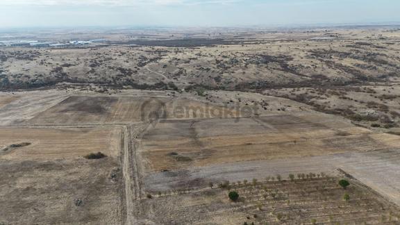 Edirne Lalapaşa Sarıdanişment Satılık 57 Dönüm Tarla 1