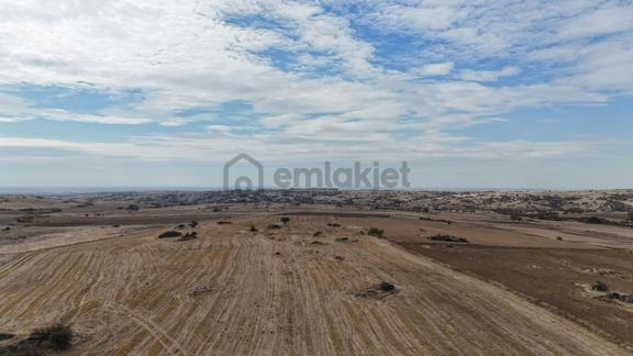 Edirne Lalapaşa Sarıdanişment Satılık 57 Dönüm Tarla 2