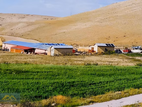 Seyitgazi Yazıdere Mahallesi Ruhsatlı Kurulu Düzen Hazır Çiftlik 1