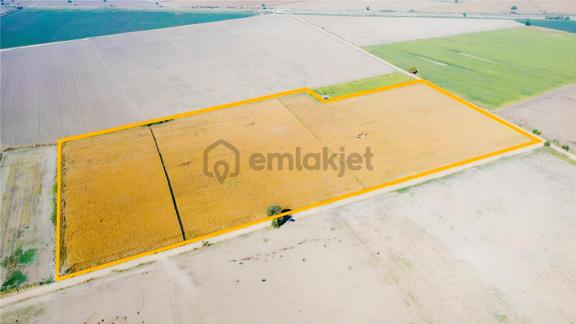 Özgün Gm'den - Yeni Harmandalında 83.460 M² Satılık Tarla 2