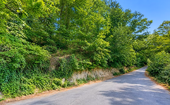 Beykoz Örnekköy'de Acarkent'e Komşu 751 M² Müstakil Tapulu Arsa 1