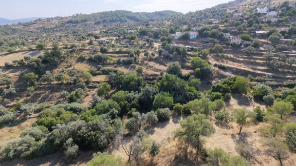 Muğla Milas Alaçam Köyü Satılık İmarlı 2.000 M² Arsa 2