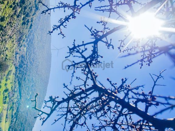 Karaburun Saip Manastır Mevkiinde 4.040 M² Yatırım Fırsatı 1