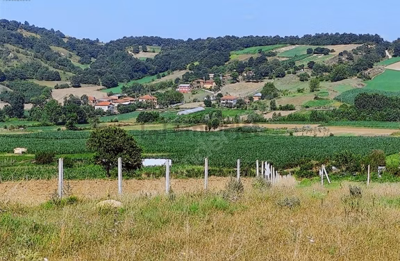 Kocaeli Kandıra 'da Müstakil Parsel 3.921 M2 Satılık Tarla/arazi 1