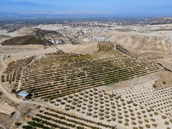 Eldenizlide 66.364m² Suyu Ve Elektriği Olan Satılık Nar Bahçesi 2