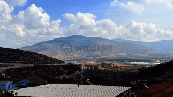 Bozköyde Yerleşimin İçinde Bakımlı Satılık Zeytinlik Fırsatı 1