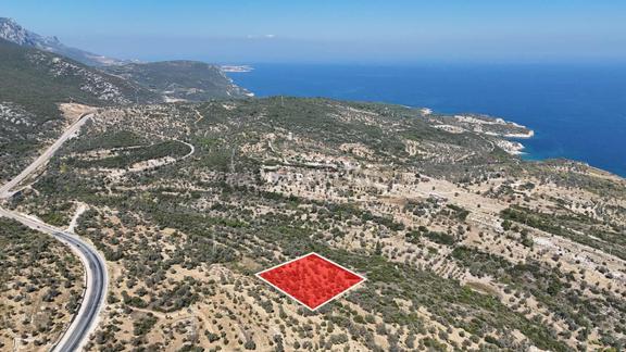 Satılık Deniz Manzaralı Tarla 2