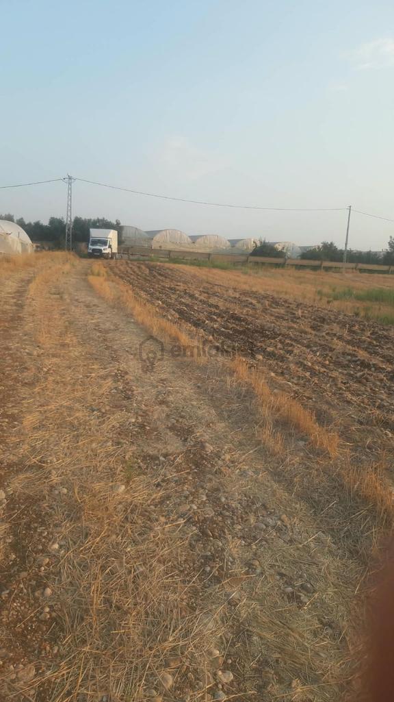 Tarıma Elverişli İçerisinde 3000 M2 Sera Olan Satılık Tarla 2