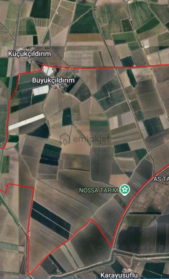 Adana Seyhan Büyük Çıldırım'da, 6 Yaşında, 3x5 Dikimli 1350 Ağaçlık Bakımlı Boreal Nektarin Bahçesi 1