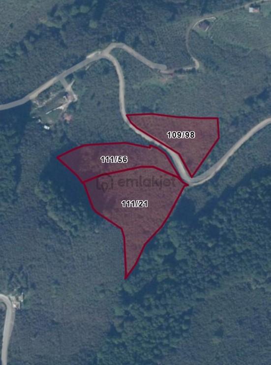 Satılık Yol Kenarı 23.821 M2 Fındık Bahçesi 1