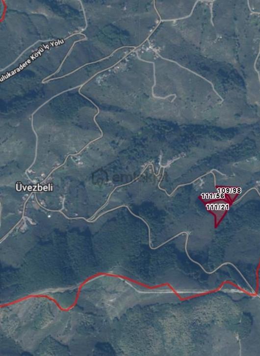 Satılık Yol Kenarı 23.821 M2 Fındık Bahçesi 2