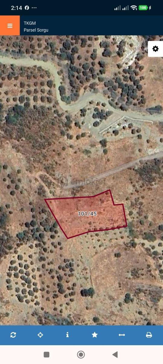 Karaburun Hasseki Satılık 3336 M2 Yatırımlık Arazi 2