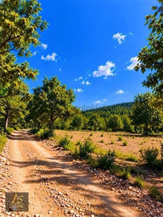 Aydın Nazilli Aşağıyakacık 218 Ada 113 Par 879m2 Tarla 1
