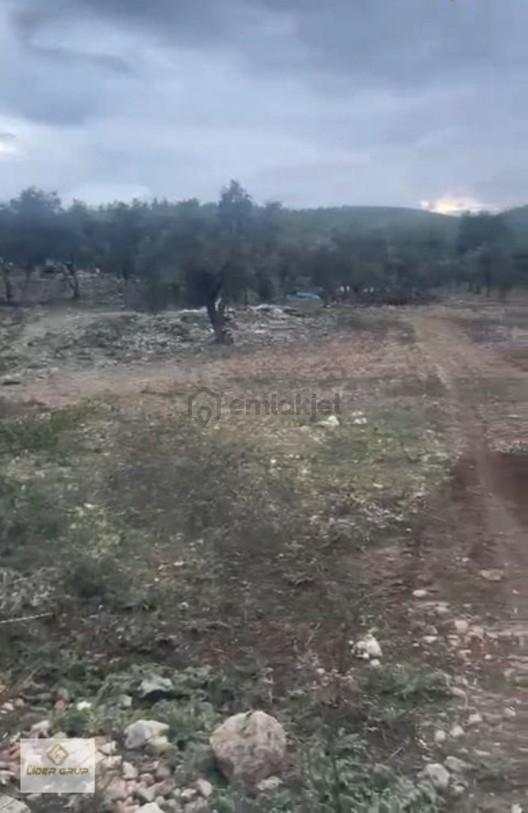 Eslider Den Bozbük De Deniz Kenarı Satılık 2