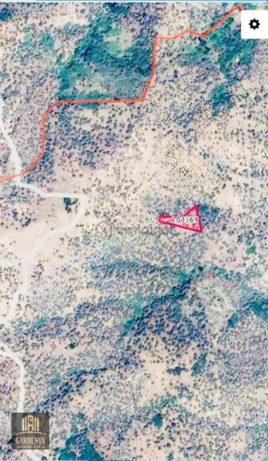 Demirçay Satılık 3.116 M2 Zeytinlik 1