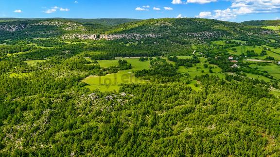 Kastamonu Araç Sofçular'da Çevresi Orman 11.500 M² Satılık Arazi 2