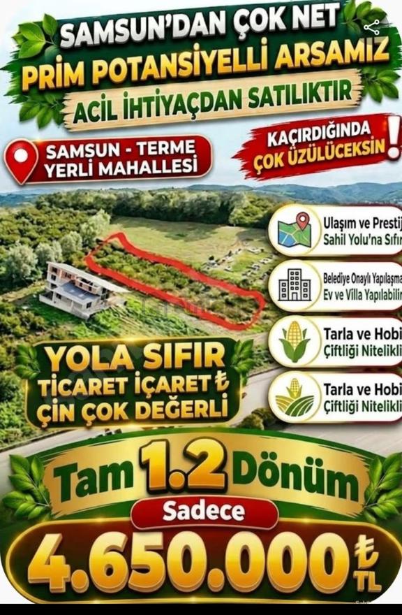 Sahibinden Karadeniz Sahil Yoluna Sıfır 1200 M2 Satılık Arsa 1