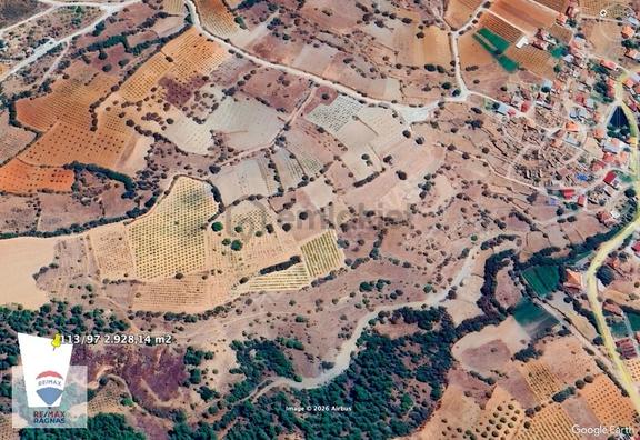 Denizli Çal Çakırlar Mh 2.928 M2 Resmi Yola 2 Parsel Satılık Bağ 2