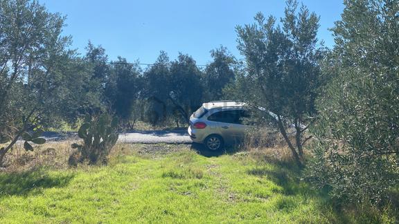 Dalaman Kayadibi Mahallesi Satılık 892 M² Zeytinlik 1