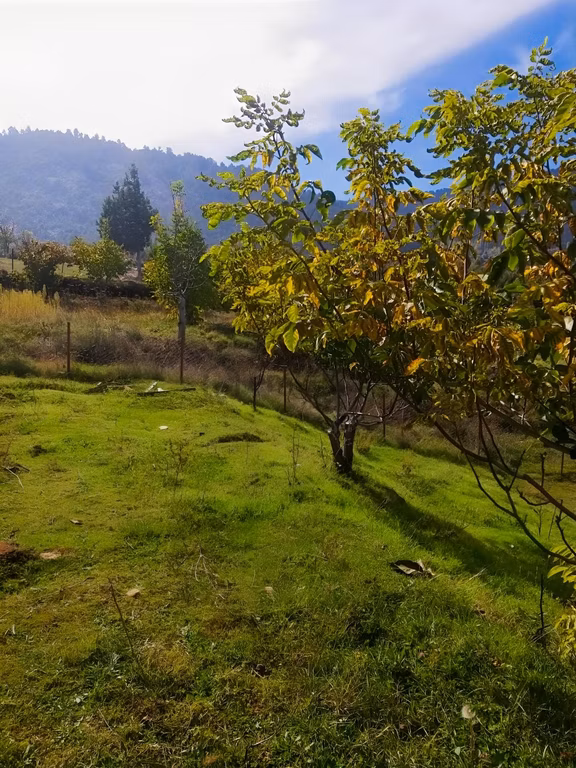Y. Ceylan 2112 M2 Köy Yerleşik Alan İçi 250m2 İnşaat Hakkı Var 2
