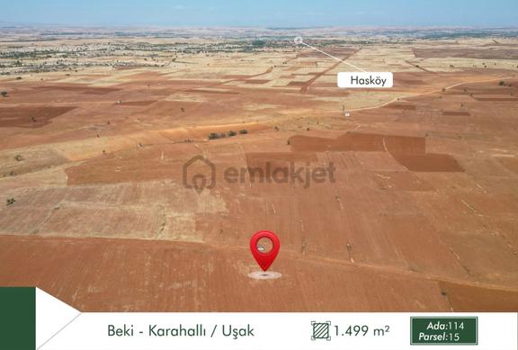 Kadastro Yollu Harika Yer 2