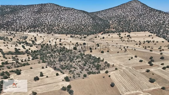 Asfalt Yola Yakın 985 M² Müstakil Tarla! Güneysınır Kurukavak'ta 1