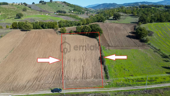 Uzmanlar'dan Çamdibi Meşelik Satılık 3351 M2 Tarla 1