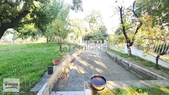 Remax Şehir'den Koruköyde Kiralık Müstakil Ev 2