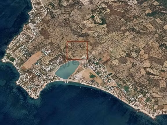 Coşkun Emlaktan Şakranda Satılık İmarlı Villa Arsası 1