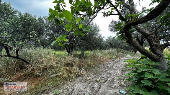 Akhisar Aziosb Tam Karşısı Harika Konumda Asfalt Üstü 1350m2 2