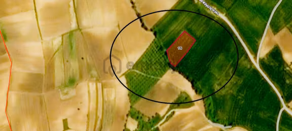 Edirne Keşan Karacaali'de 5.650 M² Satılık Tarla |yatırım Fırsat 2