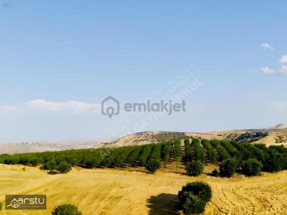 Arstu Gm'den Kahta'da Müstakil Tapulu 8 Yıllık Badem Bahçesi 1